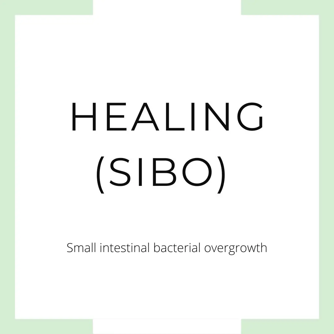 Healing SIBO