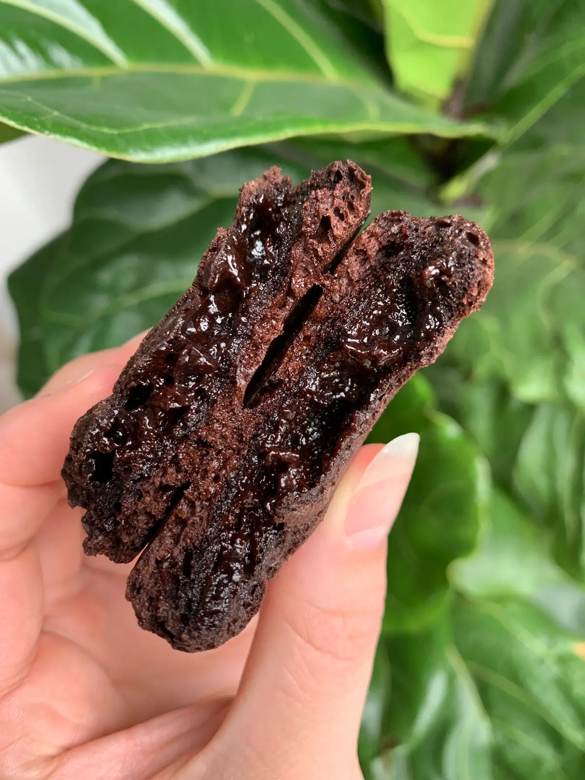 Keto Cookies Recipe | Chocolate Brownie Cookies (Brookies)